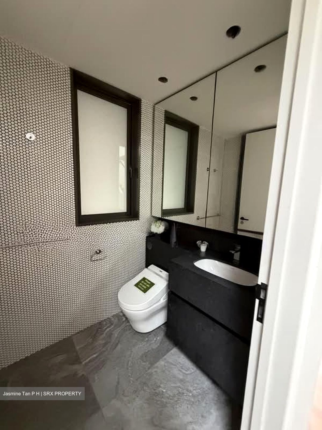 10 Evelyn (D11), Apartment #587158161